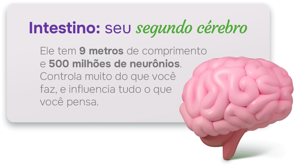 Intestino: seu segundo cérebro Intestino: seu segundo cérebro