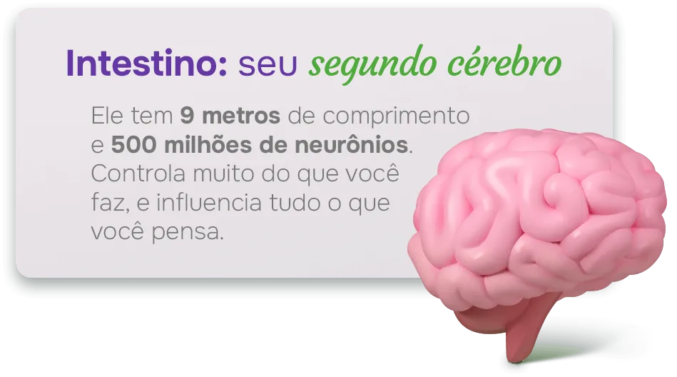 Intestino: seu segundo cérebro Intestino: seu segundo cérebro